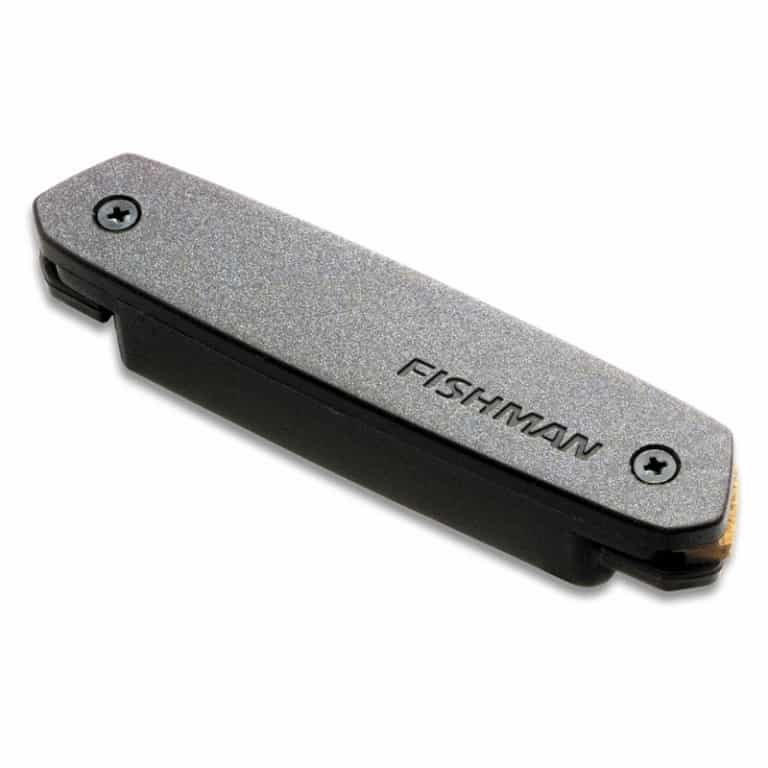 Amazon.com: Fishman Neo-D Humbucking Acoustic Pickup